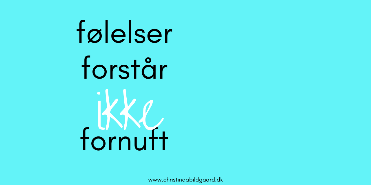 følelser forstår fornuft (2)