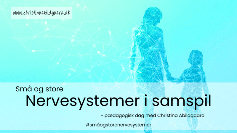 Små og store nervesystemer i samspil pædagogisk dag med Christina Abildgaard småogstore nervesystemer christinaabildgaard.dk