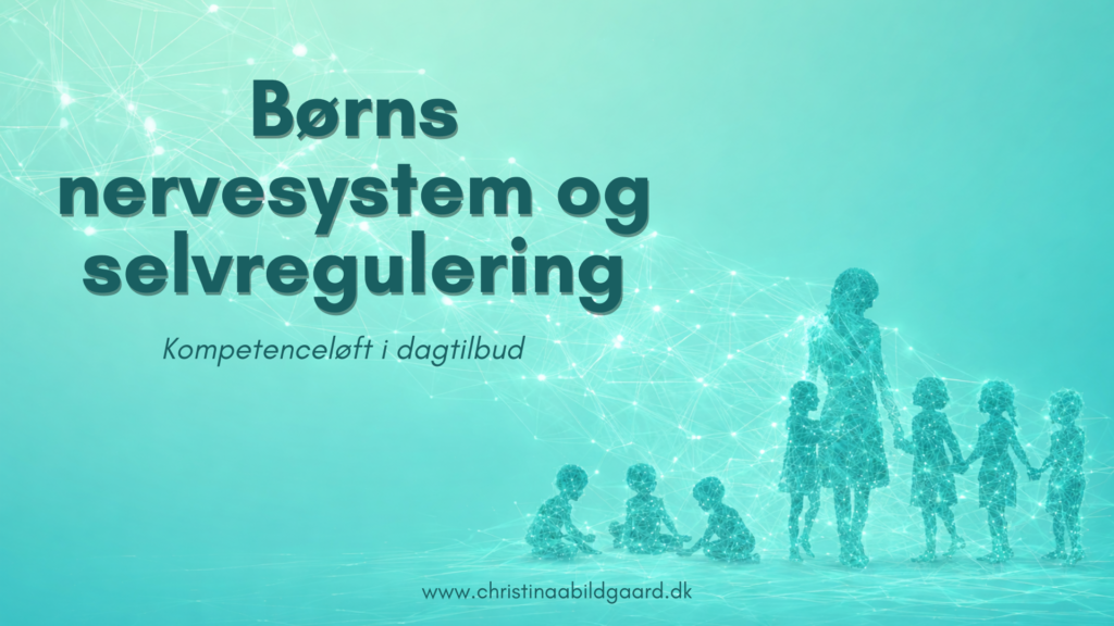 Børns nervesystem og selvregulering – Kompetenceløft i dagtilbud