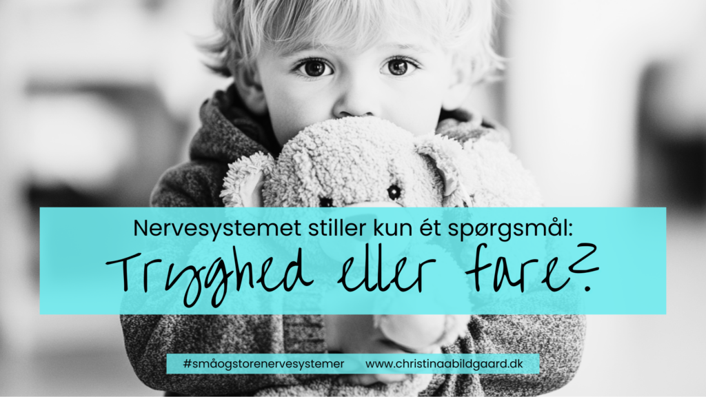 Nervesystemet spørger om tryghed eller fare?