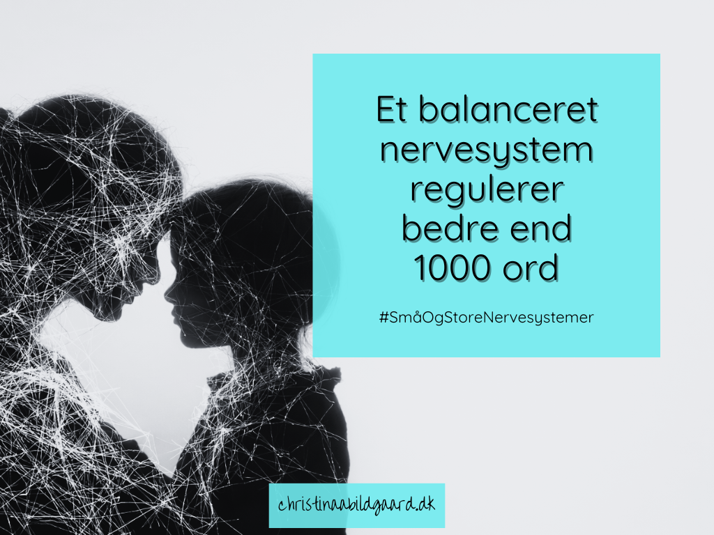 Et balanceret nervesystem regulerer bedre end 1000 ord christinaabildgaard.dk